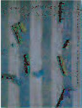 sladdis_kb_pp_1.jpg